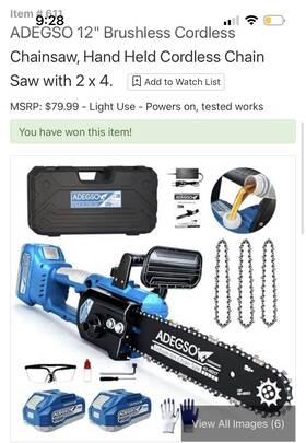 Adegso Ad-4021l 12in Brushless Cordless 24v Battery Chainsaw With Case Gloves Glasses