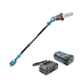 Senix 843212113881 10 Inch 58 Volt Cordless Pole Saw To Reach Branches Up 14 Feet