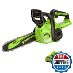 Greenworks 24V 10 Cordless Compact Chainsaw For Storm Clean-up Pruning And New. Price: $170.67.