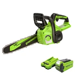Clear Storm Damage Fast - Greenworks 40V 12 Cordless Chainsaw New. Price: $209.99.