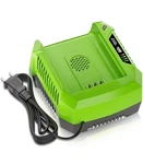 60-VOLT 6A Fast Charger For Greenworks 60V Lithium-ion Power Tool Batteries New. Price: $24.00.