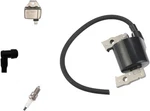 Ignition Coil ID#ZH7157 With BM11 Module Igniter 21119-2161 AM131398 New. Price: $50.59.