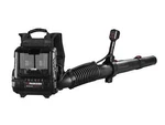 Parkside Performance X20V Team Battery Backpack Leaf Blower New. Price: $603.34.